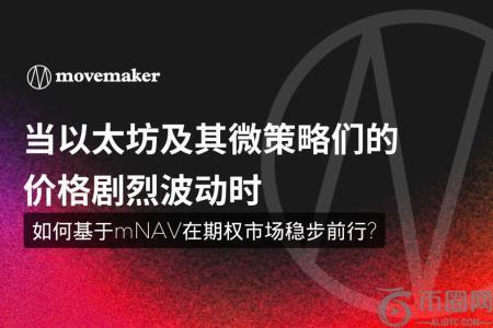 当以太坊及其微策略们的价格剧烈波动时, 如何基于mNAV在期权市场稳步前行?