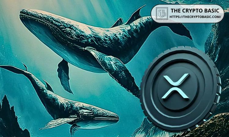Kraken 将价值 2.46 亿美元的 82,277,388 XRP 转移到未知钱包