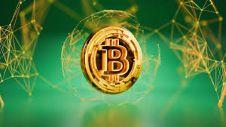 比特小鹿持有多少比特币？这对比特币投资者有何重要意义