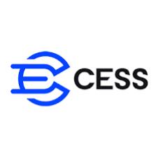 CESS Network 是什么？它如何改变去中心化数据存储？