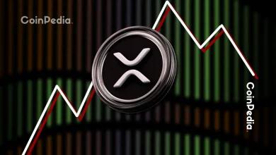 尽管现货 ETF 在第一天创下纪录，XRP 价格为何仍下跌？