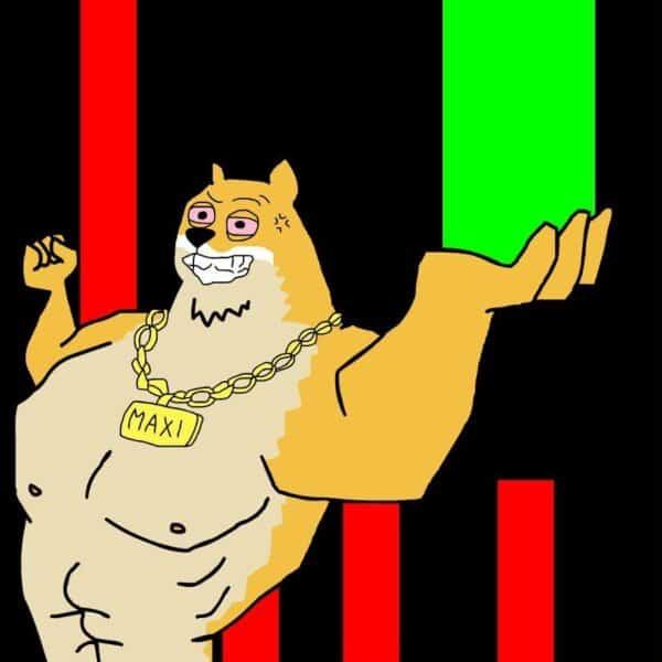 Meme Coins 与美元强势抗衡：但 MAXI Coin 刚刚筹集了 250 万美元