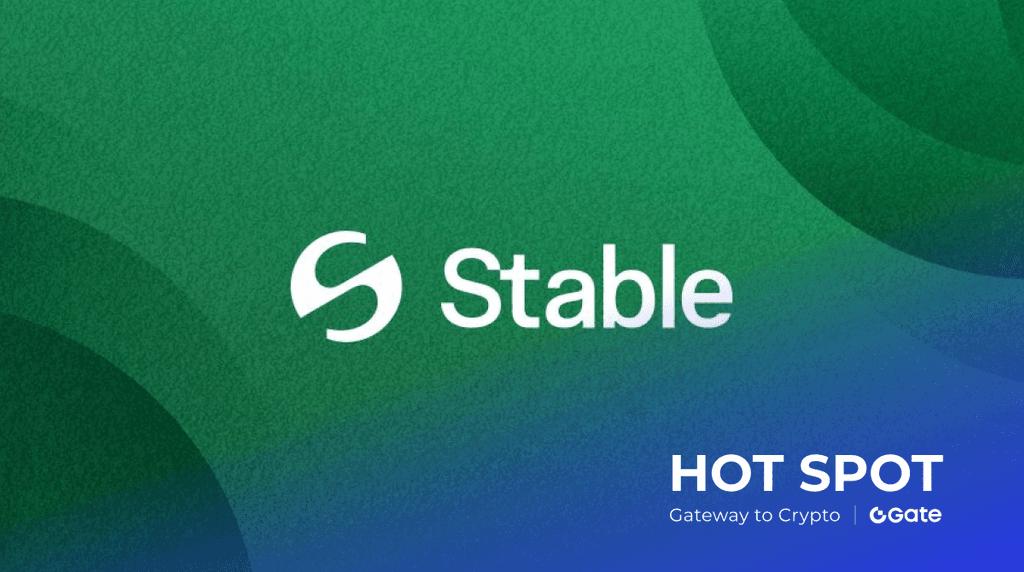 Tether 子项目 Stable 引爆市场：Hack VC 领投 2800 万美金种子轮融资