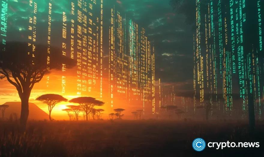 非洲不是你的测试平台：非洲大陆正在编写加密货币剧本 观点