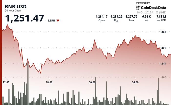 “分销是关键”：BNB 129% 的涨幅与 Solana 2024 年的飙升如出一辙