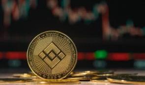 BNB 在历史性市场崩盘后暴涨至历史新高