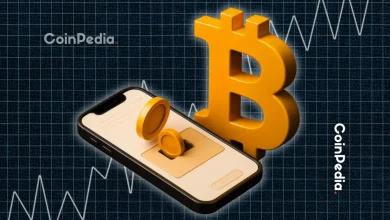 美国政府成为比特币主要持有者