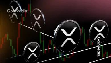 中国的 DeepSeek AI 预测 XRP 价格到 2025 年底可能达到 10 美元