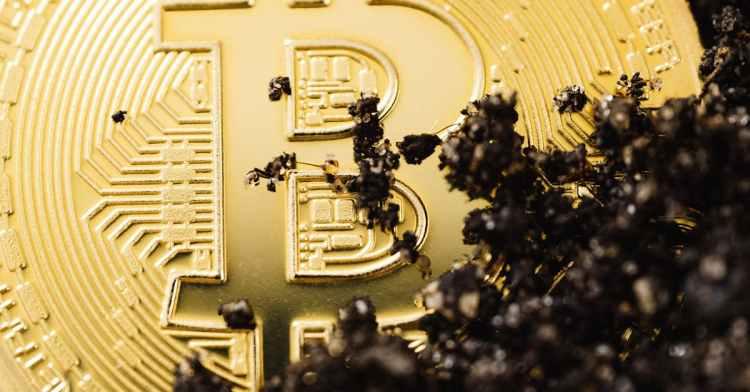 16,000枚古老比特币刚刚转移，巨鲸损失数十亿美元