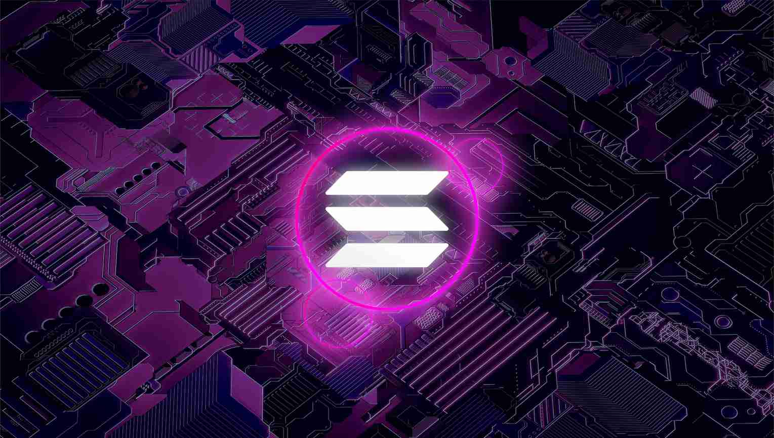 Solana 获得双重增长优势，Bitwise 首席信息官概述“双重押注”投资策略