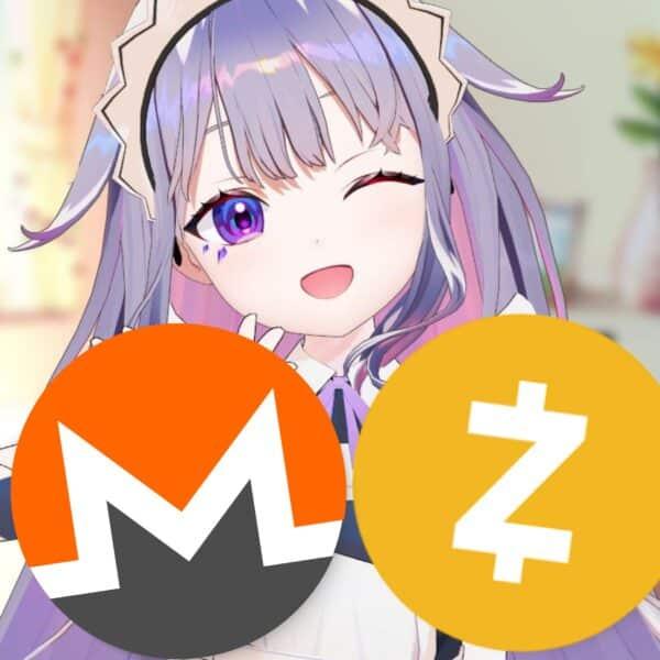 Zcash为何可能达到1万美元：门罗币和Zcash，哪个更好