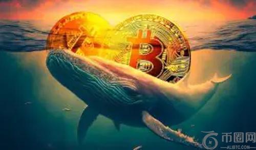 巨鲸动向再现：比特币面临关键支撑位考验，老牌加密货币价格剧烈波动