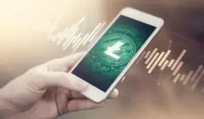 莱特币和Zcash技术展望：为什么买家转向Digitap ($TAP)