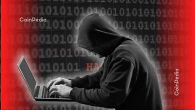 请勿访问这些域名！机场金融公司在前端漏洞事件后向用户发出警告
