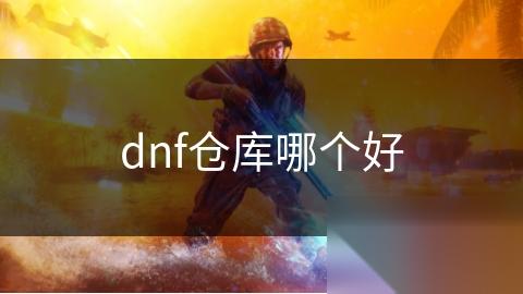 dnf仓库哪个好