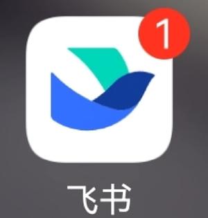 飞书怎么改名字 飞书改名字还是原名怎么回事
