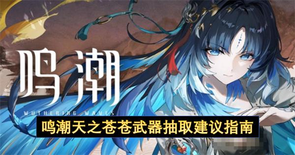 鸣潮天之苍苍武器抽取建议指南